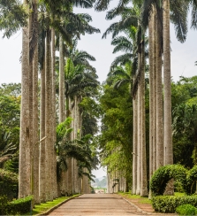 Aburi Botanical Gardens